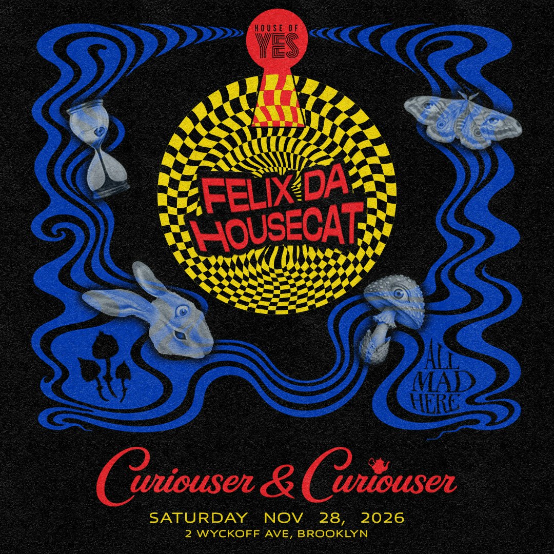 Curiouser & Curiouser: Felix Da Housecat