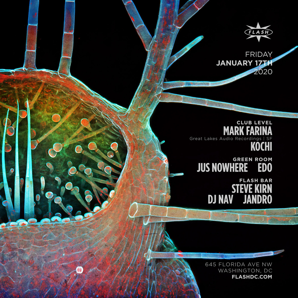 Event image for Mark Farina