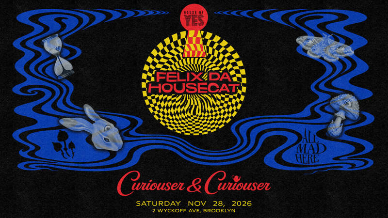 Curiouser & Curiouser: Felix Da Housecat