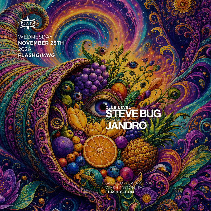 FlashGiving: Steve Bug event flyer